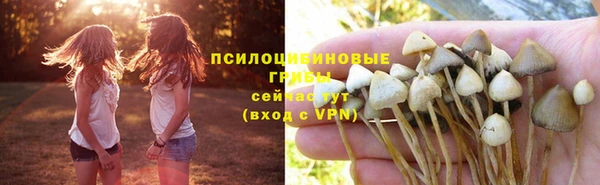 а пвп мука Алексеевка