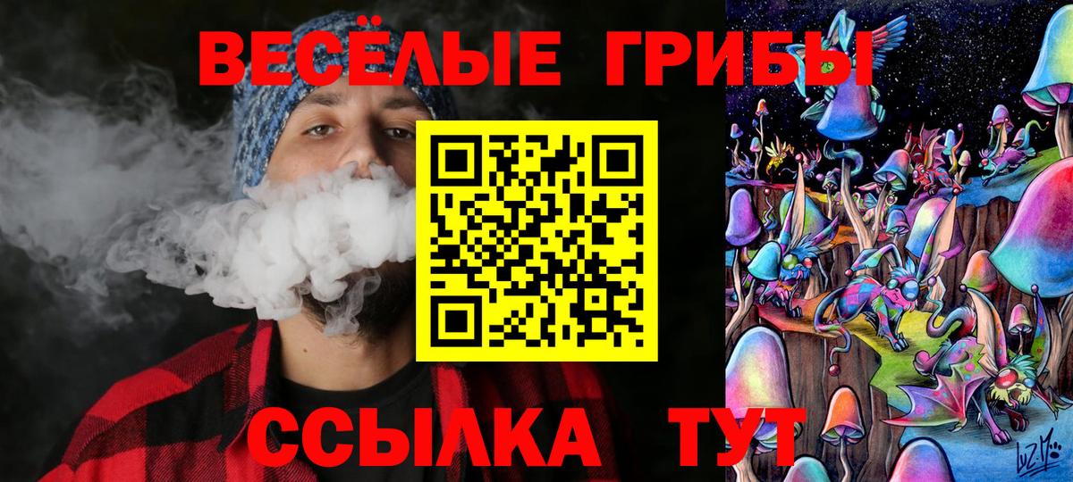 Галлюциногенные грибы Psilocybine cubensis Ачинск