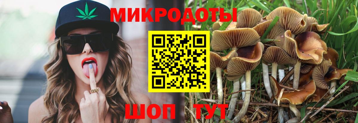 сколько стоит  Галлюциногенные грибы Cubensis  Ачинск  Вход с VPN  Псилоцибиновые грибы мухоморы 